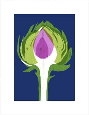 Artichoke by Ana Zaja Petrak