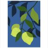 Limes by Ana Zaja Petrak | Lucent Arts Limes by Ana Zaja Petrak