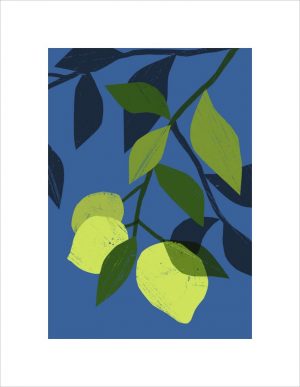 Limes by Ana Zaja Petrak