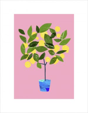 Meyer Lemon Tree by Ana Zaja Petrak