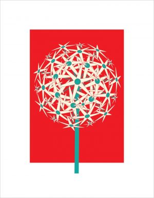 Allium