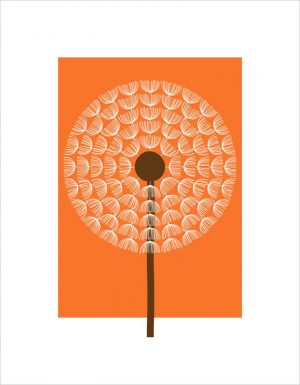 Dandelion by Simon C Page | Lucent Arts Dandelion by Simon C Page