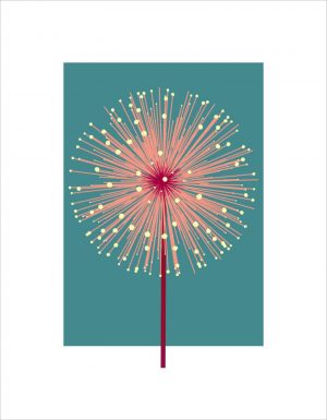 Mimosa by Simon C Page | Lucent Arts Mimosa by Simon C Page